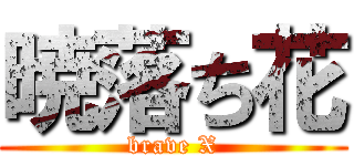 暁落ち花 (brave X)