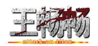 王畅畅 (attack on titan)