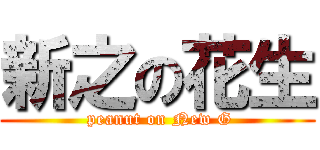 新之の花生 ( peanut on New G)