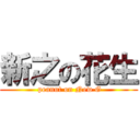 新之の花生 ( peanut on New G)