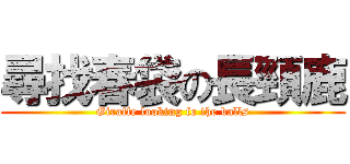 尋找春袋の長頸鹿 (Giraffe looking fo the balls)