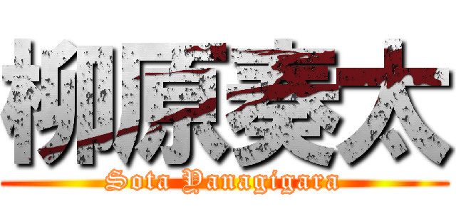 柳原奏太 (Sota Yanagigara)