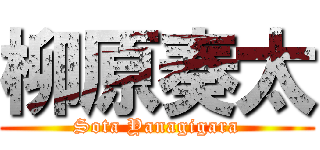柳原奏太 (Sota Yanagigara)