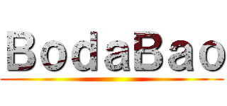 ＢｏｄａＢａｏ ()