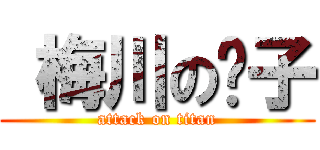  梅川の库子 (attack on titan)