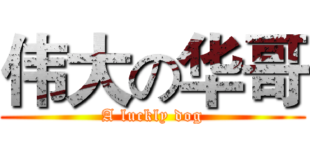 伟大の华哥 (A luckly dog)