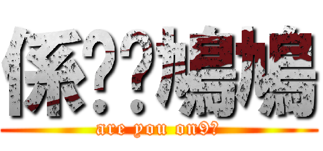 係咪戇鳩鳩 (are you on9?)