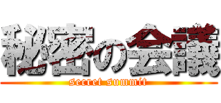 秘密の会議 (secret summit)