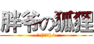胖爷の狐狸 (~\(≧▽≦)/~)