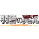 羽音の実況 (live of a23122029)