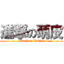 進撃の萌皮 (attack on Vivian)