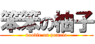 笨笨の柚子 (noodle on pomelo)