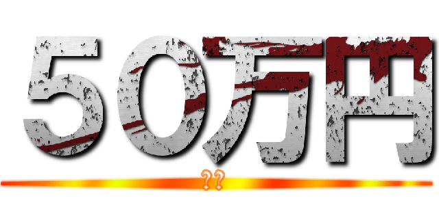 ５０万円 (　　)