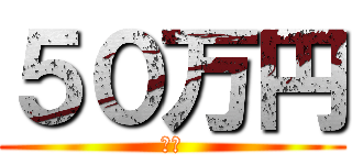 ５０万円 (　　)