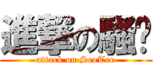 進撃の騷踢 (attack on SeoTee)