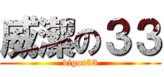 威潔の３３ (vigor33)
