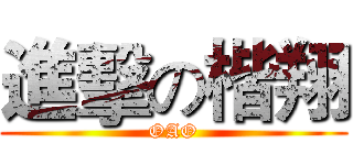 進擊の楷翔 (OAO)