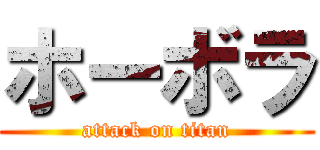 ホーボラ (attack on titan)