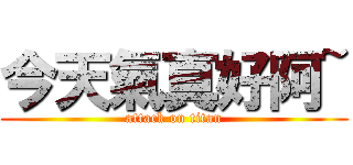 今天氣真好阿~ (attack on titan)