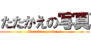 たたかえの写真 (Tatakae quadros)