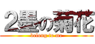 ２墨の菊花 (belong to me)