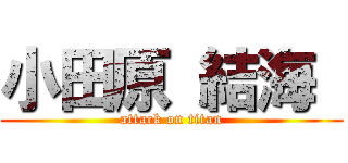 小田原 結海  (attack on titan)