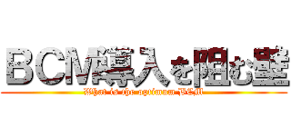 ＢＣＭ導入を阻む壁 (What is the optimum BCM)