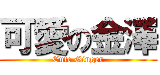 可愛の金澤 (Cute Ginger)