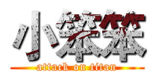 小笨笨 (attack on titan)