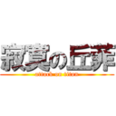 寂寞の丘菲 (attack on titan)