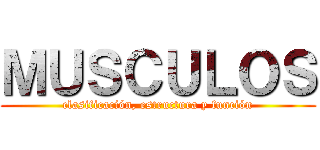 ＭＵＳＣＵＬＯＳ (clasificación, estructura y función)