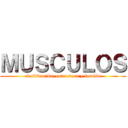 ＭＵＳＣＵＬＯＳ (clasificación, estructura y función)