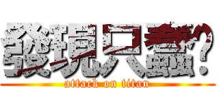 發現只蠢貓 (attack on titan)