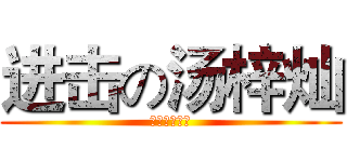进击の汤梓灿 (同济的小逗比)