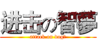 进击の智夢 (attack on dog夢)