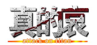 真的哀 (attack on titan)