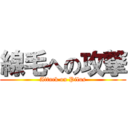 線毛への攻撃 (Attack on Pilus)