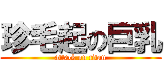 珍毛起の巨乳 (attack on titan)