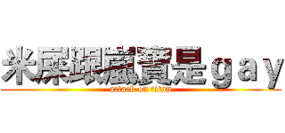 米屎跟嵐寶是ｇａｙ (attack on titan)