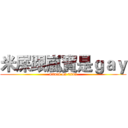 米屎跟嵐寶是ｇａｙ (attack on titan)