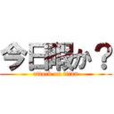 今日暇か？ (attack on titan)