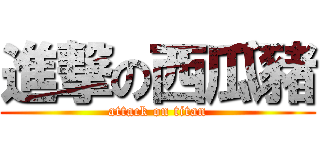 進撃の西瓜豬 (attack on titan)