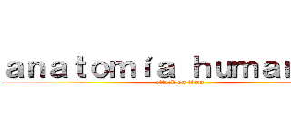 ａｎａｔｏｍíａ ｈｕｍａｎａ ２ (attack on titan)