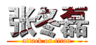 张冬磊 (attack on titan)