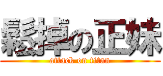 鬆掉の正妹 (attack on titan)