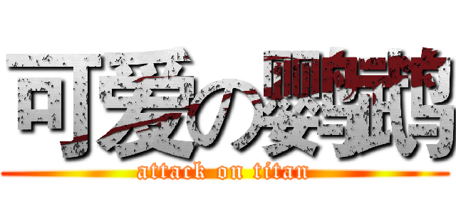 可爱の鹦鹉 (attack on titan)