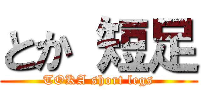とか 短足 (TOKA short legs)