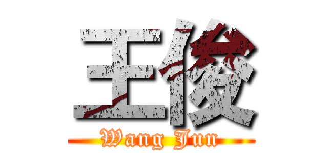 王俊 (Wang Jun)