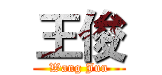 王俊 (Wang Jun)