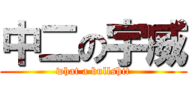 中二の宇威 (what a bullshit)
